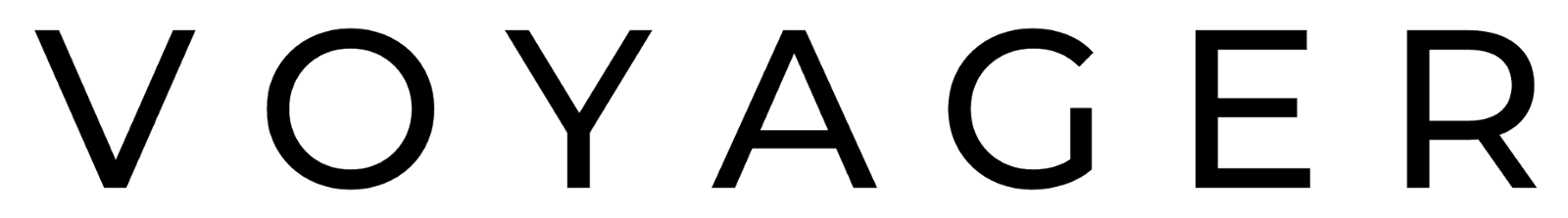 Voyager AI